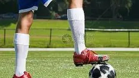 石狮电竞助力渔旅融合，海鲜丰收共庆丰收盛景