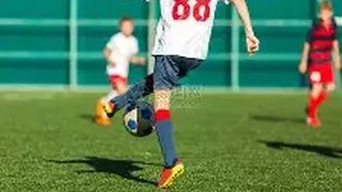 开云体育 资讯 102750 0bg