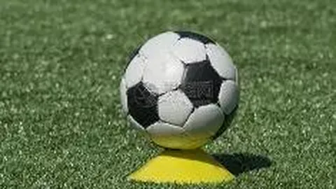 开云体育 产品 102258 zmg