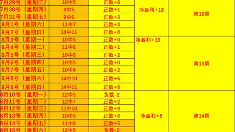 王钰栋中超首秀381分，开云平台，钟进两球，能否创造新传奇